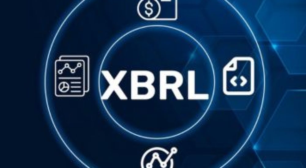 XBRL Consultant Firm